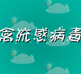 食品有意思：如何預防禽流感病毒感染？ 