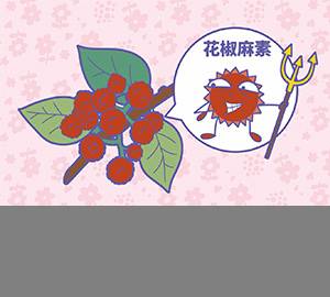 科普視頻：花椒為什么那么麻？（匹配百科詞條：花椒、花椒麻素）